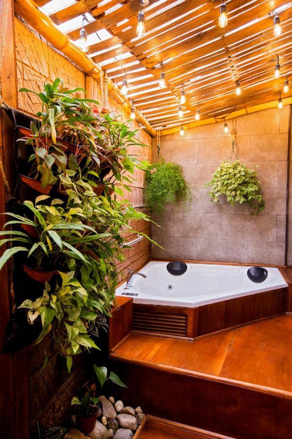 Casa Suculenta ,Monteverde Con Jacuzzi Privado Y Lavanderia Exterior foto