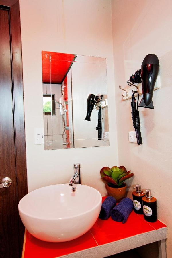 Casa Suculenta ,Monteverde Con Jacuzzi Privado Y Lavanderia Exterior foto